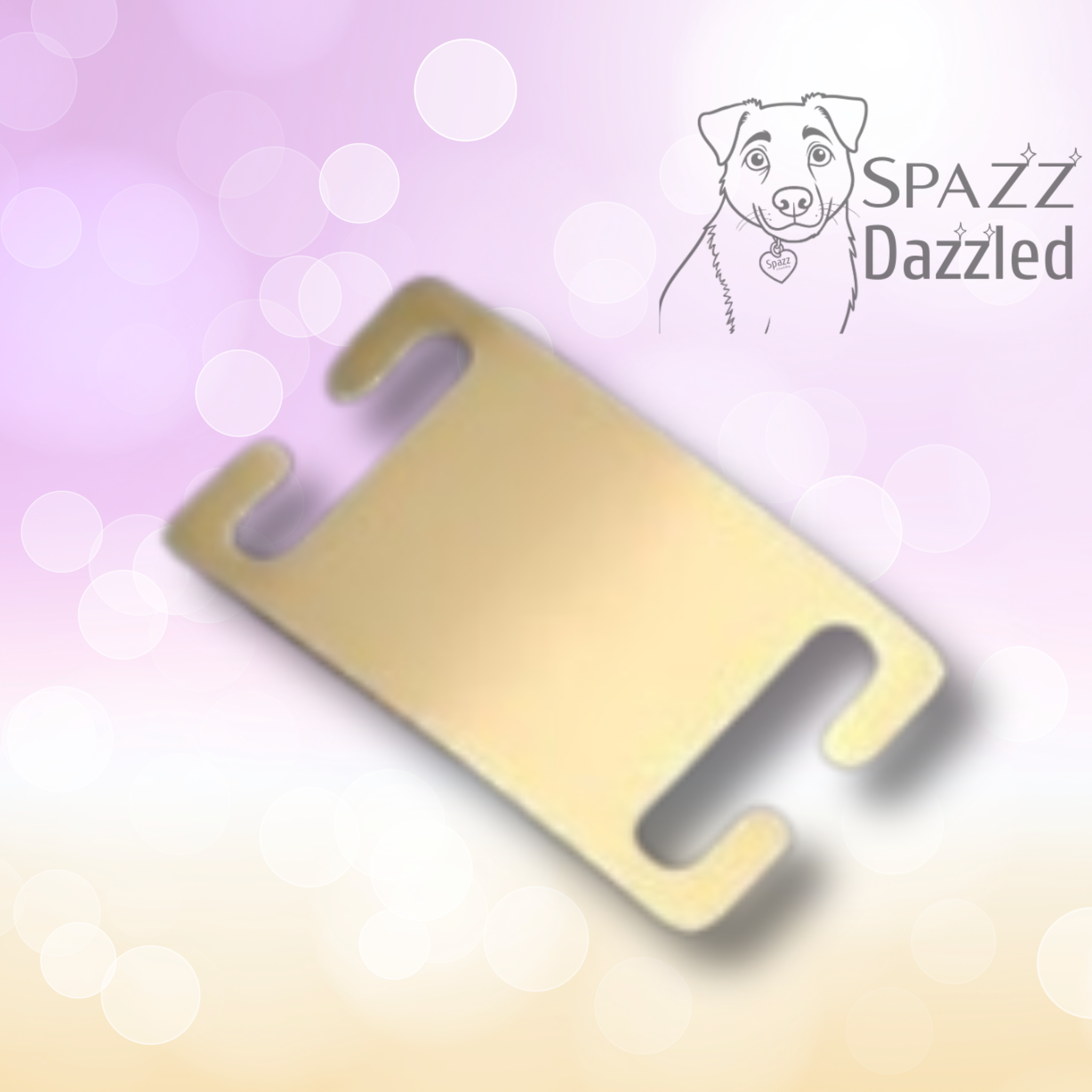 Slider Pet Tag - Customized